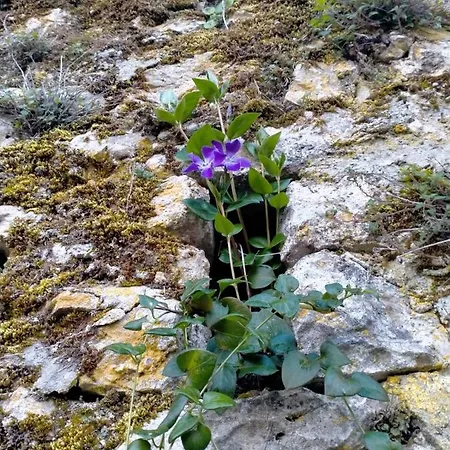 Apartamento Casa In Splendida Riserva Naturale Pettorano sul Gizio