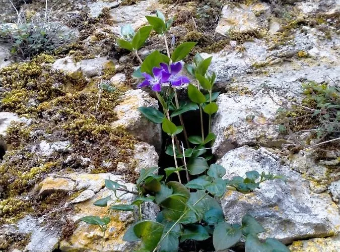 Apartamento Casa In Splendida Riserva Naturale Pettorano sul Gizio